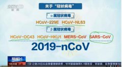 新型冠状病毒肺炎确认「人传人」，春节